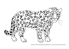 Panther.pdf